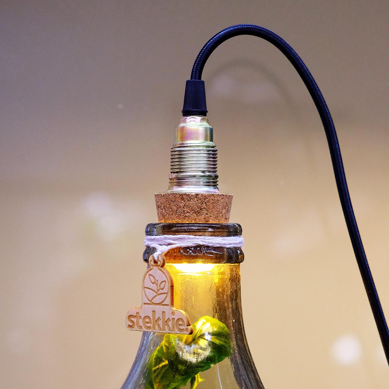 Close-up foto van lamp in kurk op glazen mini-ecosysteem
