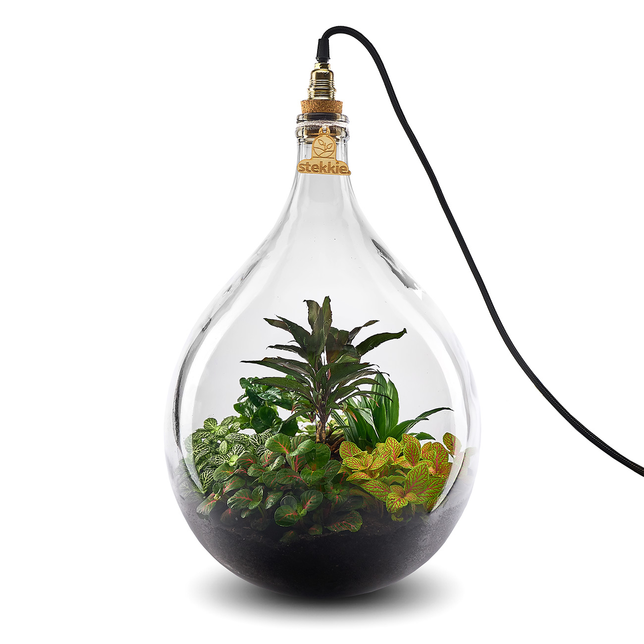 Stekkie Large (gele accentkleur) mini-ecosysteem/planten terrarium met lamp